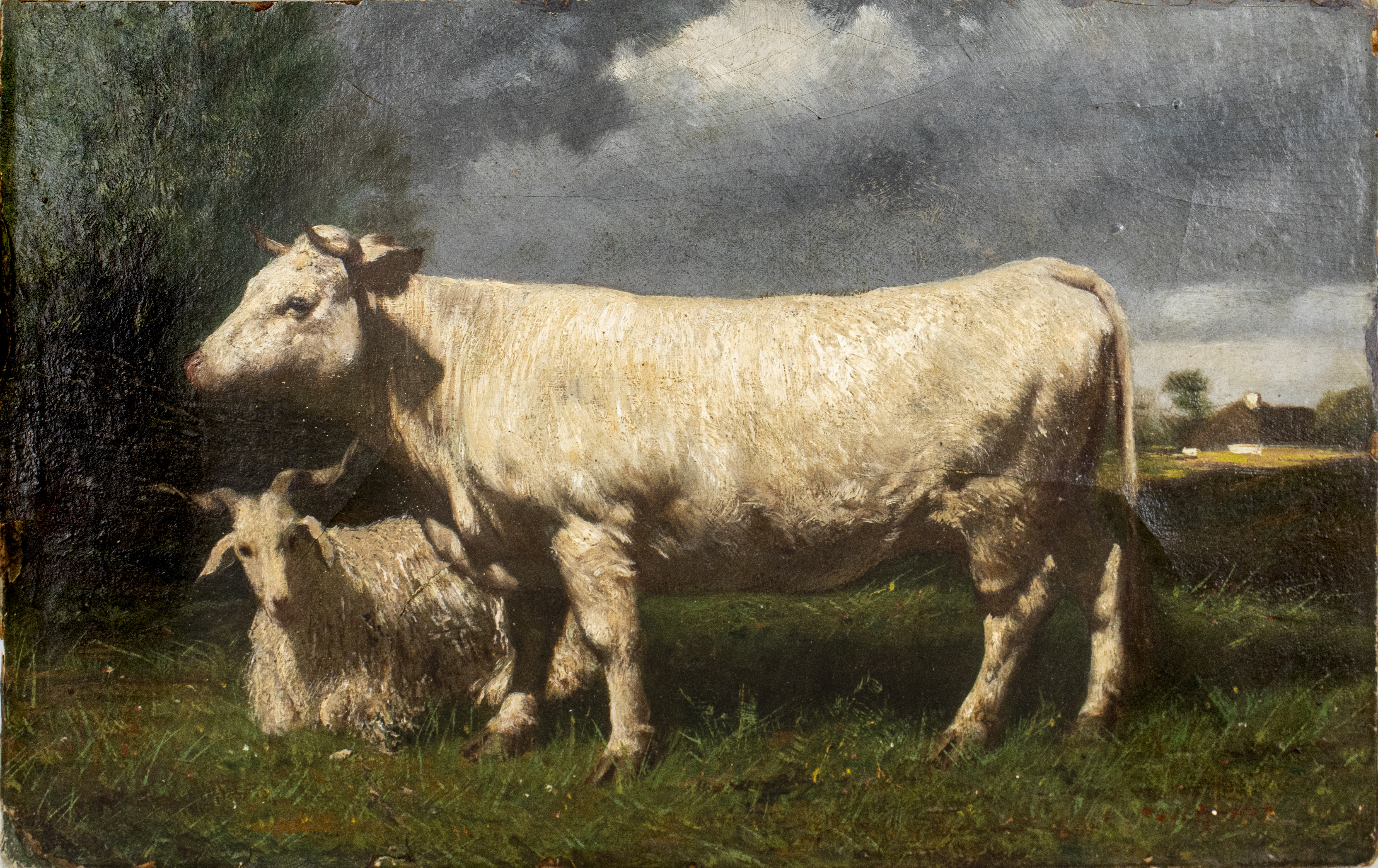 REALIST SCHOOL "COW & GOAT" OIL