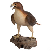 REALISTIC RED TAILED HAWK CARV