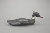 RED-BREASTED MERGANSER DRAKEMa
