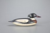 RED-BREASTED MERGANSER DRAKENa