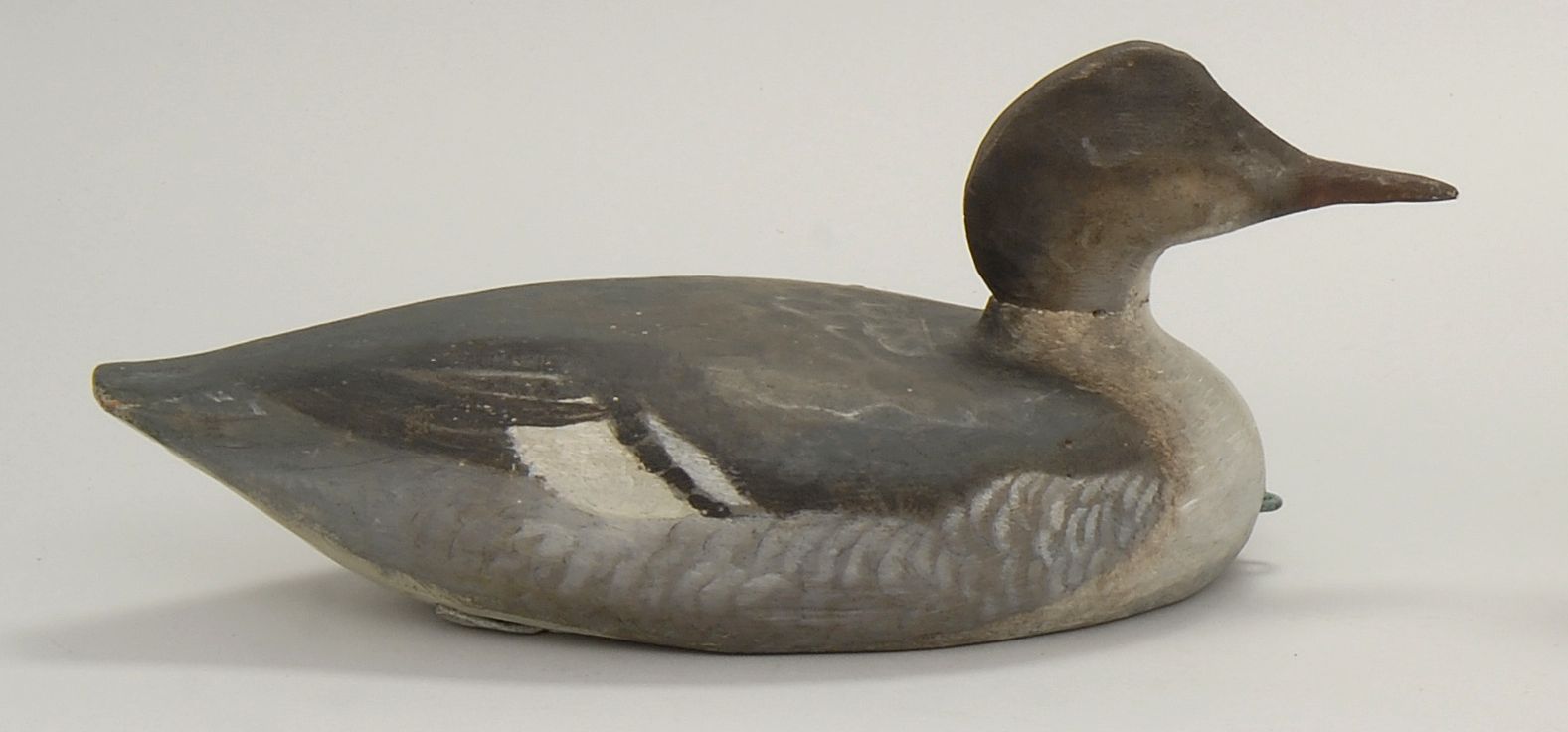 RED-BREASTED MERGANSER HEN