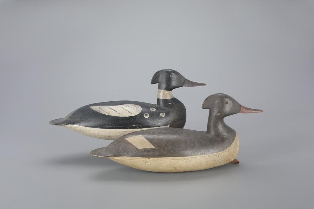 RED-BREASTED MERGANSER PAIRLevi