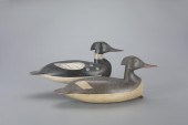 RED-BREASTED MERGANSER PAIRLev