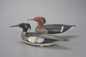 RED-BREASTED MERGANSER PAIROrl