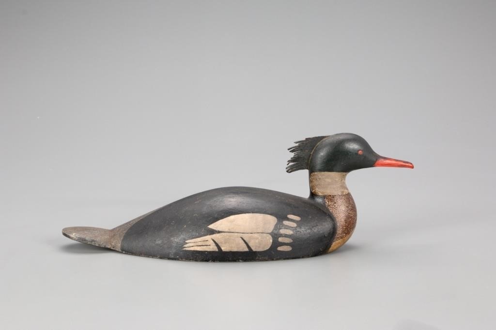 RED-BREASTED MERGANSERGilbert