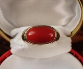 RED CORAL AND FOURTEEN KARAT G