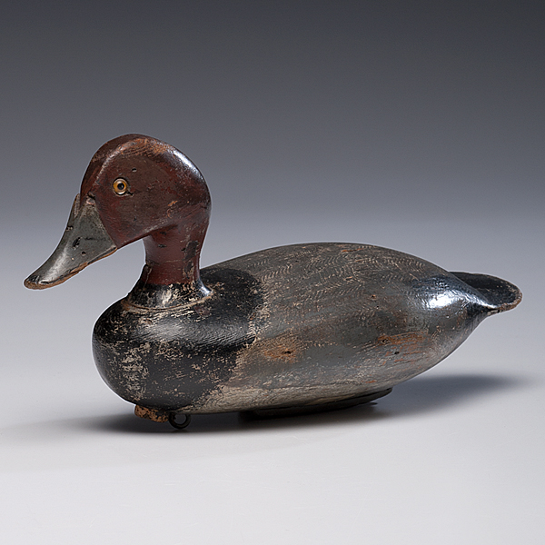 Red Headed Drake Decoy American a