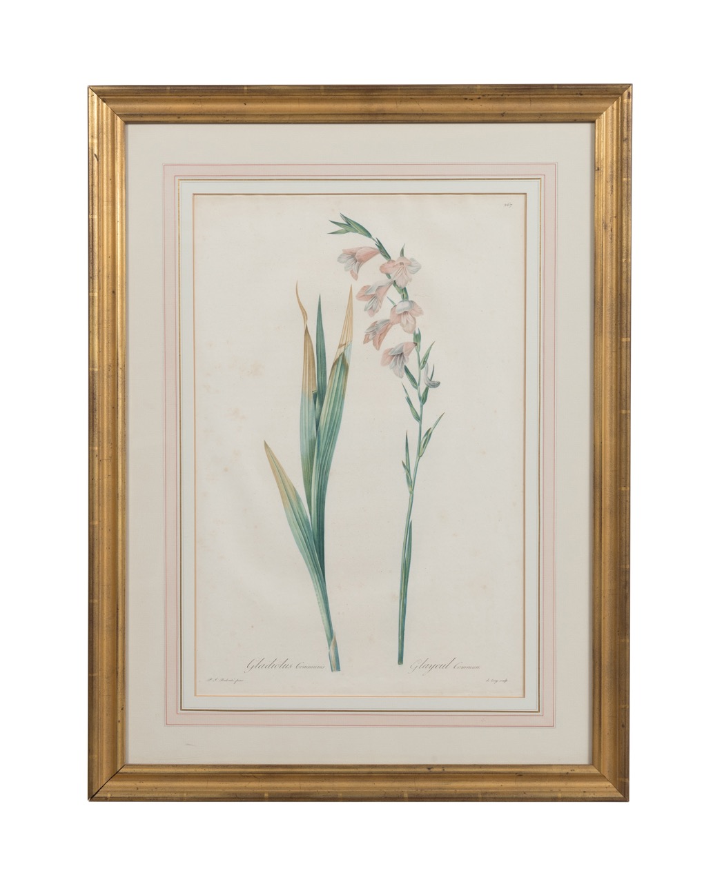 REDOUTE FLORAL ENGRAVING, PLATE