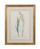 REDOUTE FLORAL ENGRAVING, PLAT