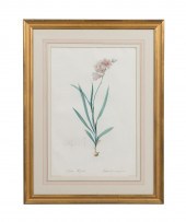 REDOUTE FLORAL ENGRAVING, PLAT