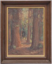 REDWOOD FOREST INTERIOR, INDIS