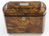 REGENCY BLONDE TORTOISESHELL T