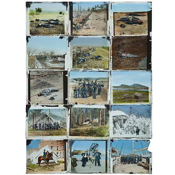 Remarkable Collection of