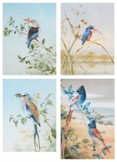 RENA FENNESSY, WATERCOLORS (4)