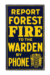 REPORT FOREST FIRES TO THE WAR