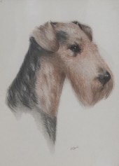 R.F. GAULIN, FOX TERRIER, RED