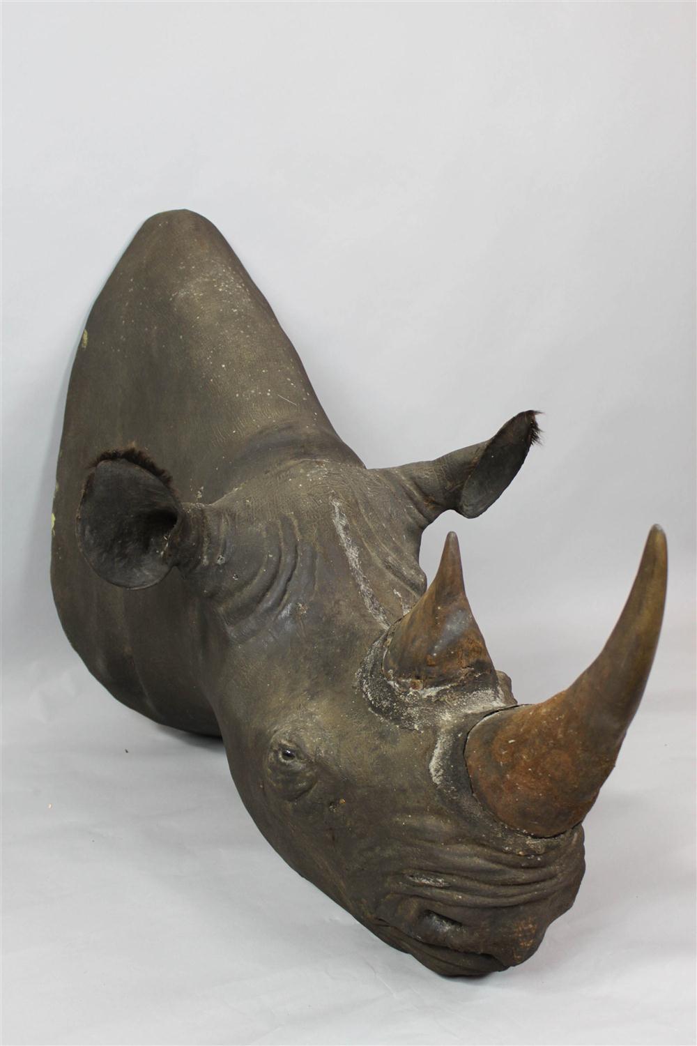 RHINOCEROS TWO HORN HEAD MOUNTED