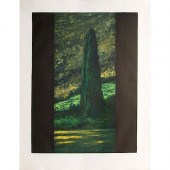 RICHARD BALLARD PRINT, CYPRESS