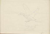 RICHARD E. BISHOP (1887-1975)C