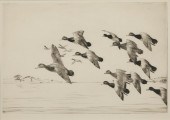 RICHARD E. BISHOP (1887-1975)T