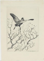 RICHARD E. BISHOP (1887-1975)T