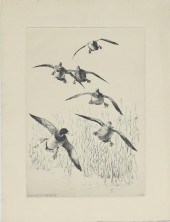 RICHARD E. BISHOP (1887-1975)T
