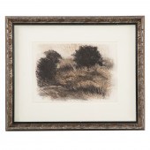 RICHARD MAYHEW. ABSTRACT LANDS