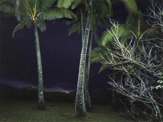 *Richard Misrach (American b. 1949)