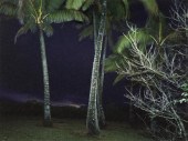 *Richard Misrach (American b.