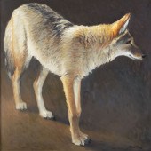 RICHARD MURRAY (1948-), COYOTE