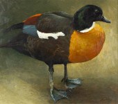 RICHARD MURRAY (1948- ), SHELD