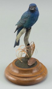 RICHARD PALMER INDIGO BUNTING