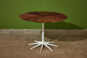 RICHARD SCHULTZ, 'PETAL' DININ