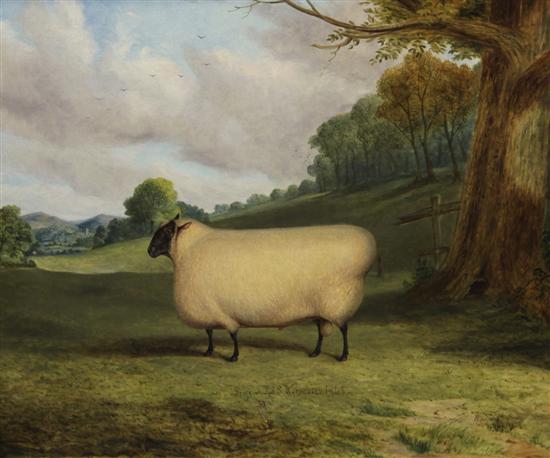 Richard Whitford (c.1821-1890)