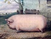Richard Whitford (c.1821-1890)