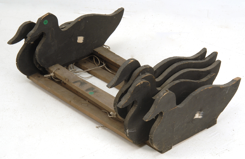 RIG OF CAPE COD WHITE-WINGED SCOTER