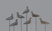 RIG OF SEVEN GOLDEN PLOVERCoff