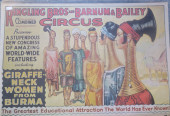 RINGLING BROS AND BARNUM & BAI