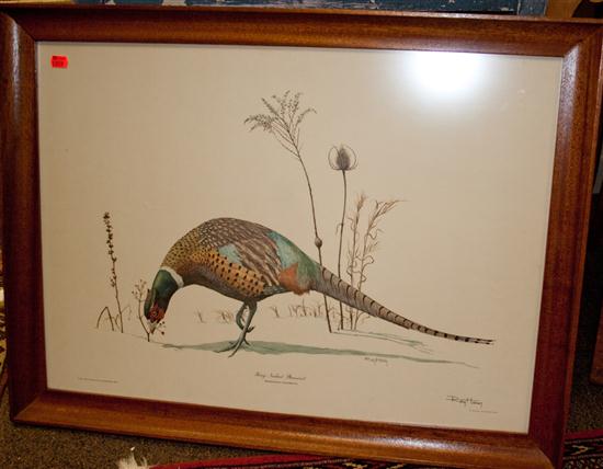 Ringneck Pheasant print signed lr