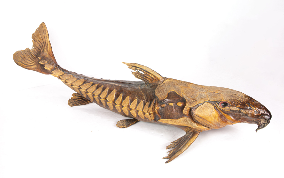 RIPSAW CATFISH STUFFED FISH