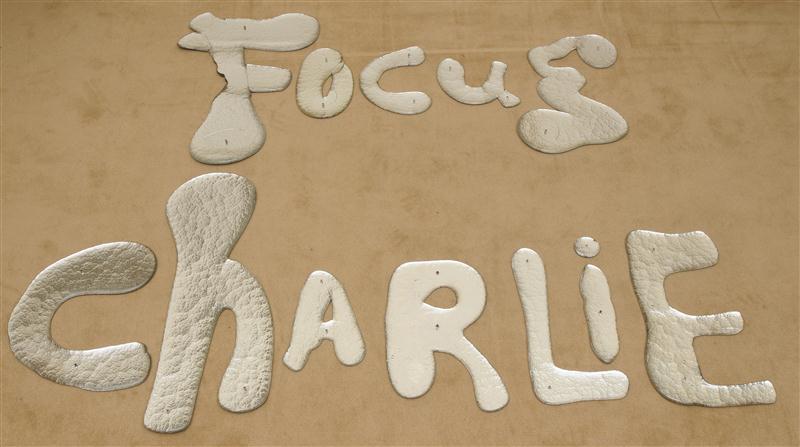 ROB WYNNE: ''FOCUS CHARLIE''