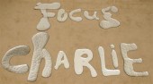 ROB WYNNE: ''FOCUS CHARLIE'' G