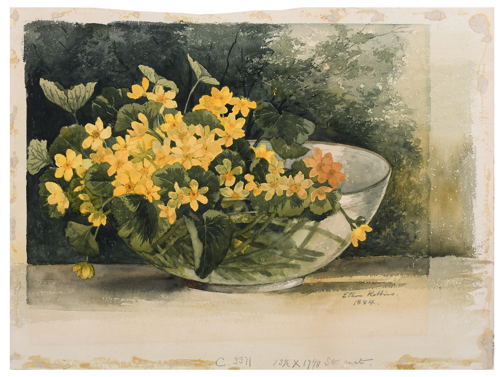 ROBBINS, Ellen, (American,