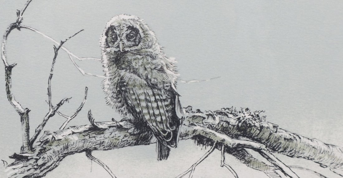 ROBERT BATEMAN (B.1930) LIMITED