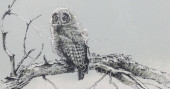 ROBERT BATEMAN (B.1930) LIMITE