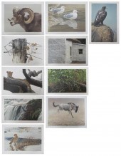 ROBERT BATEMAN (CANADA, BORN 1