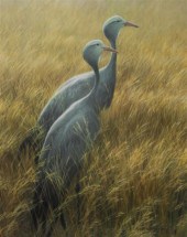 ROBERT BATEMAN (CANADIAN 1930)