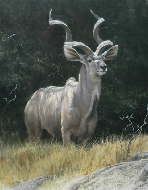 ROBERT BATEMAN (CANADIAN 1930) KUDU