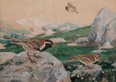 ROBERT BRUCE HORSFALL (AMERICA