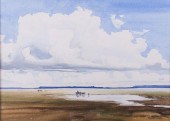 ROBERT DRAPER ARIZONA LANDSCAP